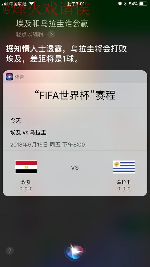 苹果应用助您随时更新世界杯比分